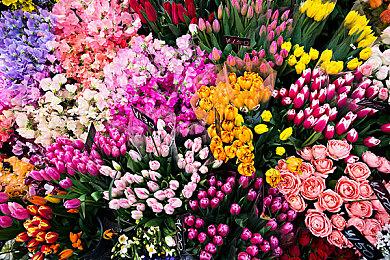 《无光之海》开发商新作《Mandrake》公布